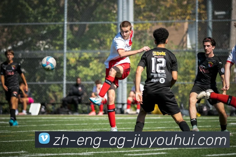 AG九游会官网APP 封面图